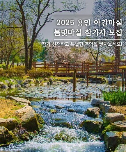 용인 야간마실 버스투어 체험