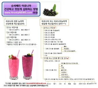 아로니아 먹는 가장 좋은 방법과 생 냉동 분말 활용 팁_18