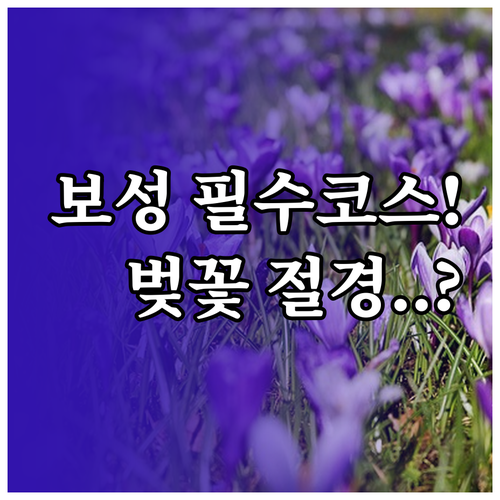 3월 보성 가볼만한곳 대한다원 녹차밭..