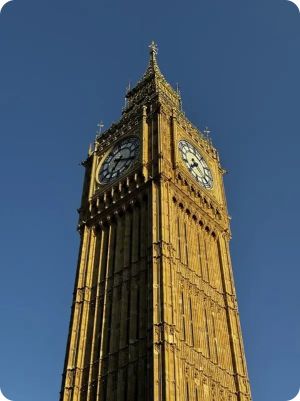 대통령 재판중지법 청원