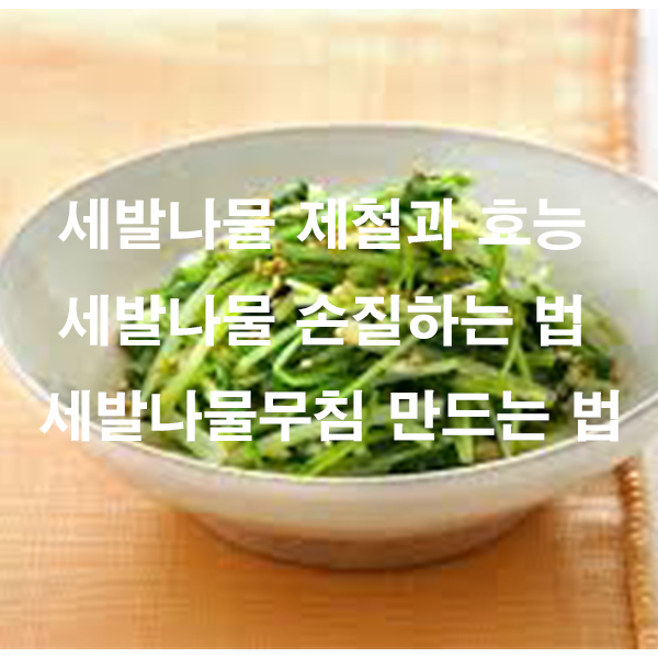 세발나물 제철과 효능 세발나물 손질하는 법 세발나물 무침 만드는 법