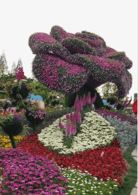 고양국제꽃박람회