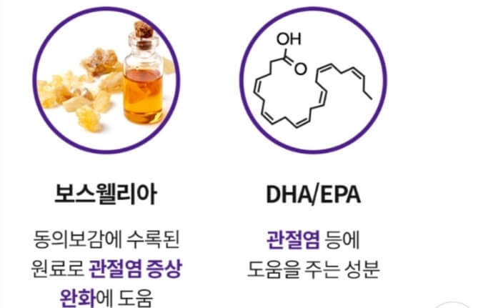 강아지 관절 영양제 추천