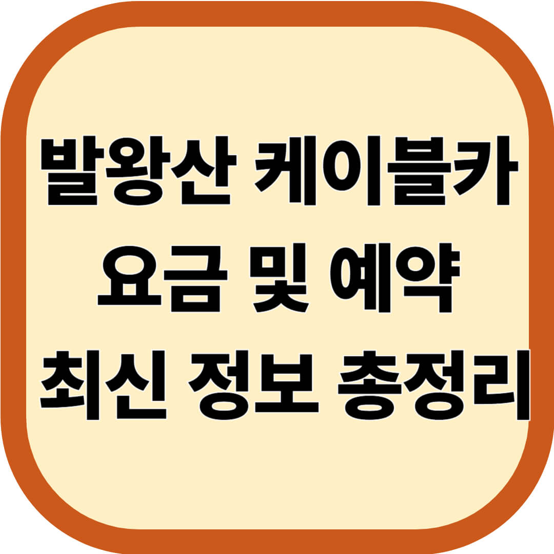 발왕산 케이블카 요금 및 예약 최신 정보 총정리