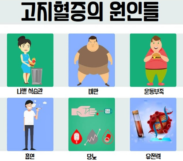 고지혈증