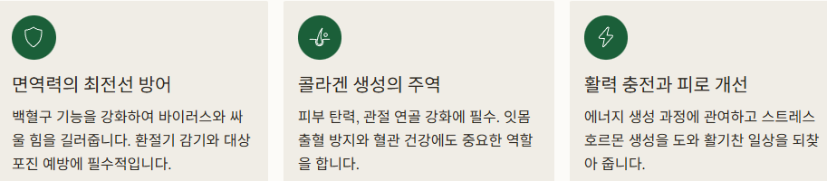 비타민C 효능 이미지