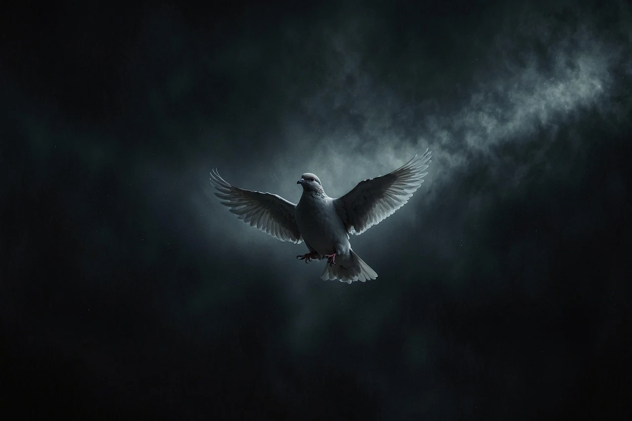 노벨-평화상(평화의-사징-비둘기-사진)