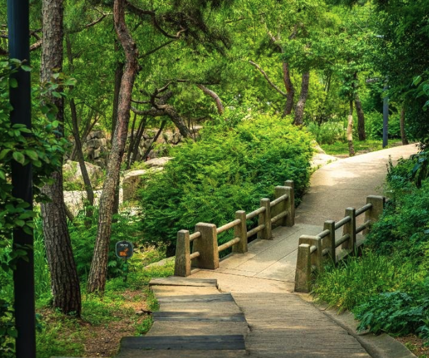 인왕산 수성동 계곡 서촌 광화문 주변 맛집 카페 강아지 동반 정보