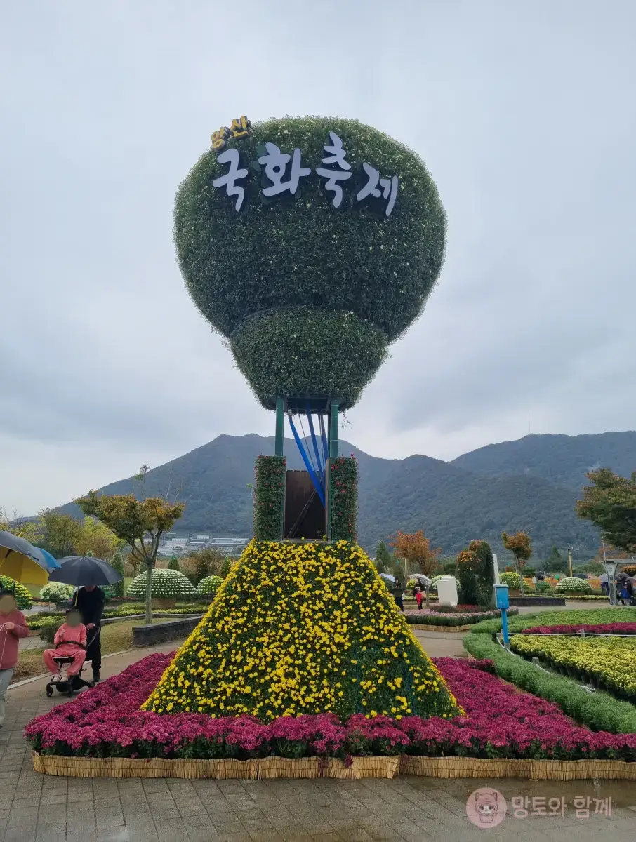 국화축제-벌룬