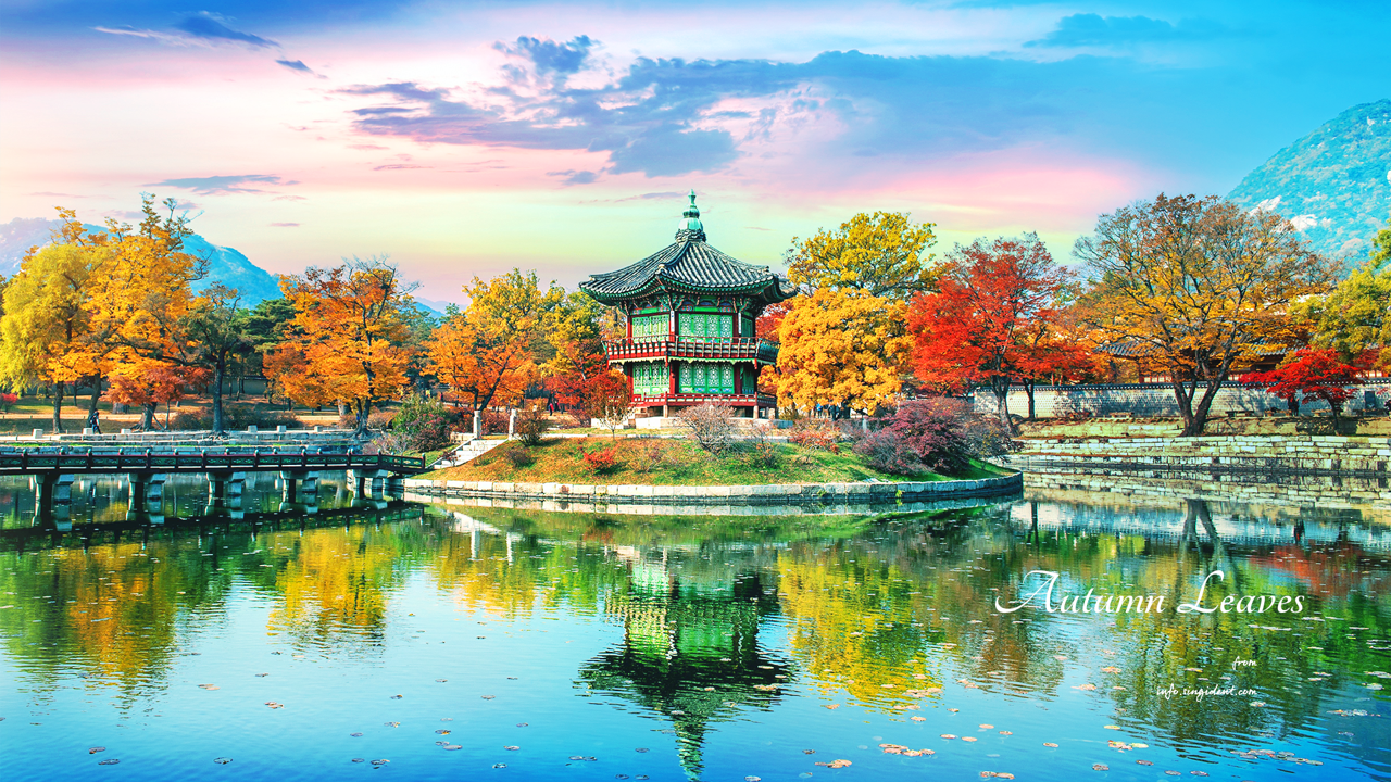 02 경복궁 향원정과 연못 C - Autumn Leaves 단풍배경화면