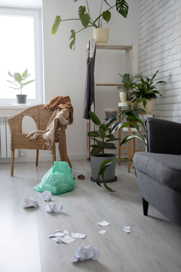 좁은 공간에 많은 화분이 공간을 어지럽게 보인다. 집비우기를 위한 예시 이미지