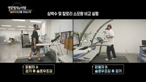 슬로운조깅-운동전-운동후-효과