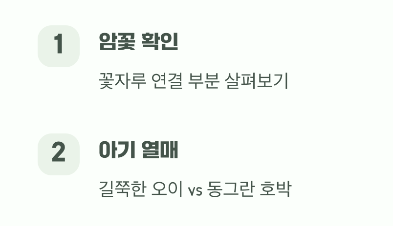 꽃 뒤에 숨은 진짜 힌트