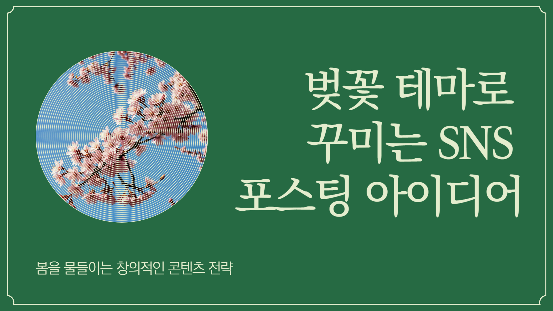 벚꽃 테마로 꾸미는 SNS 포스팅 아이디어