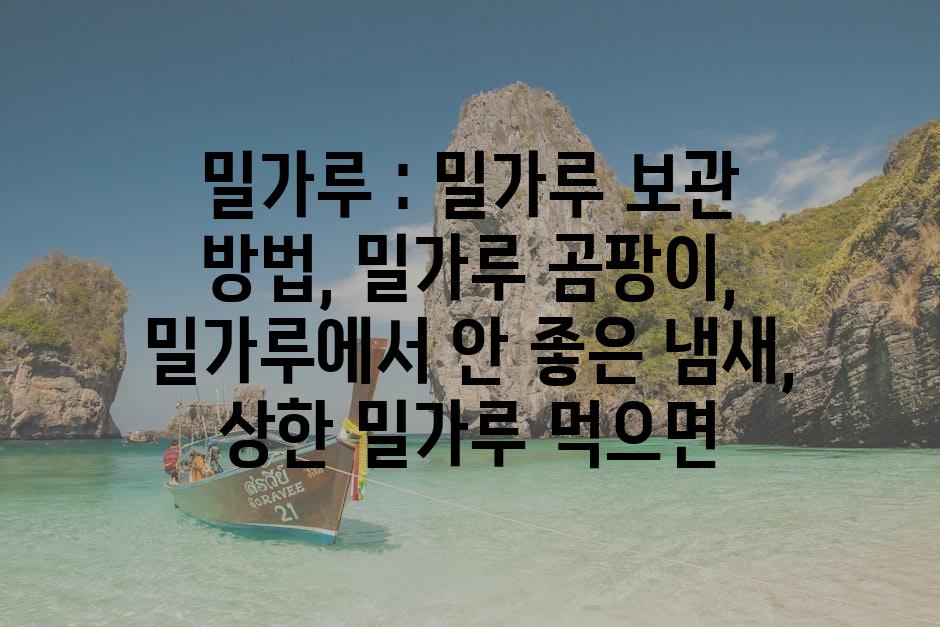 샘플 (80)