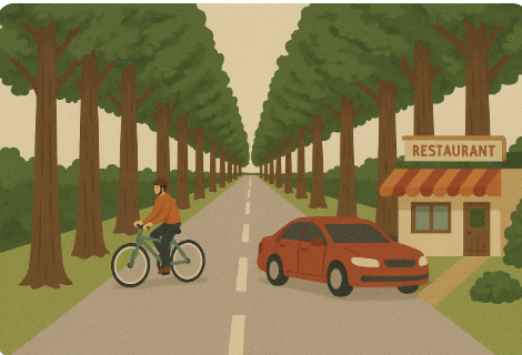 담양 메타세쿼이아 가로수길 볼거리 및 주차장 주변 맛집 관련 사진