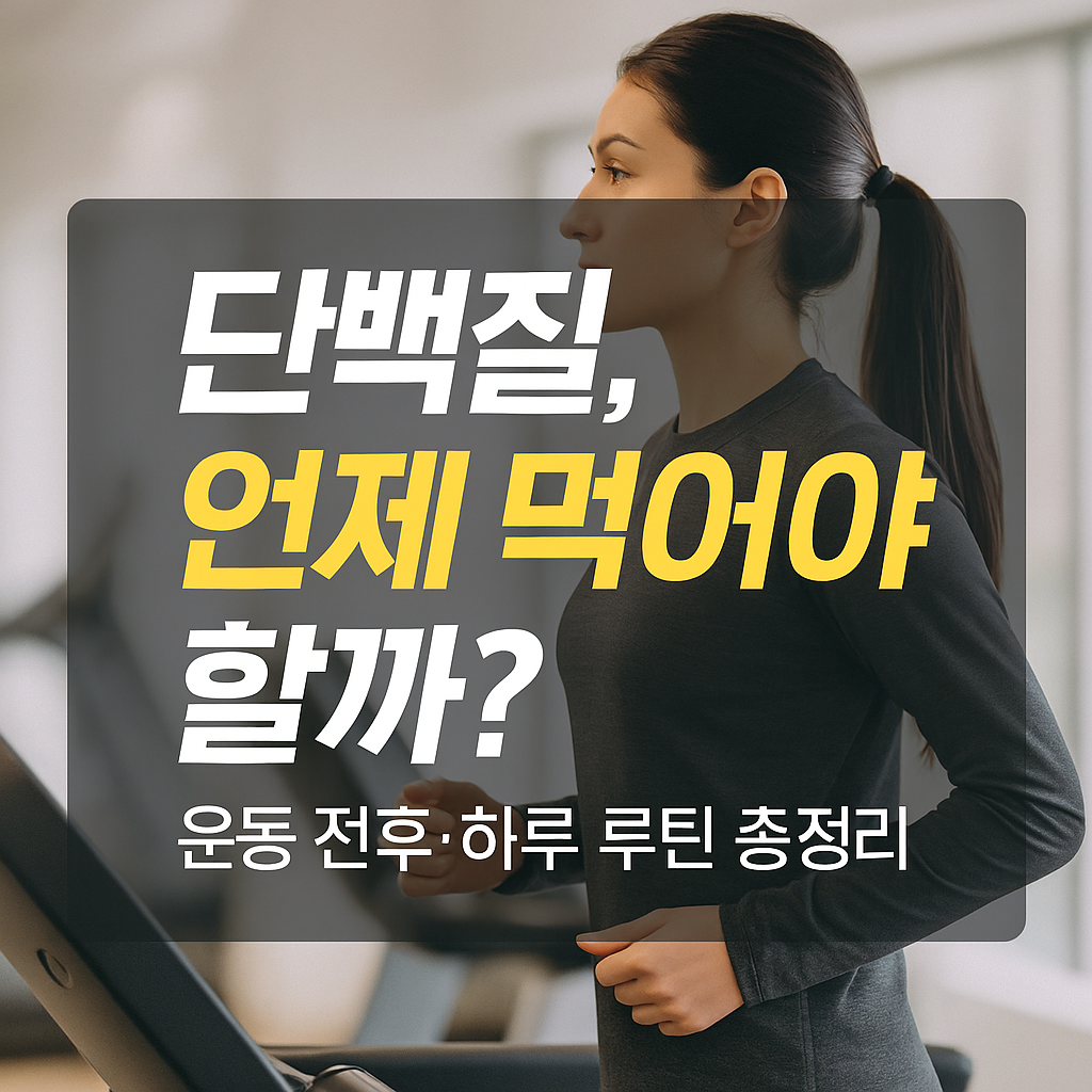 운동 전후 단백질 섭취 전략