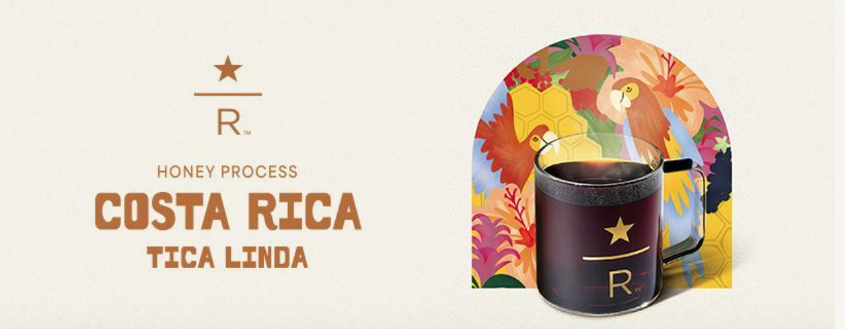 📉 “스타벅스, 진짜 몰락하는 걸까?” 북미 매출 부진부터 고객 이탈까지… 우리가 몰랐던 스타벅스 위기의 전말