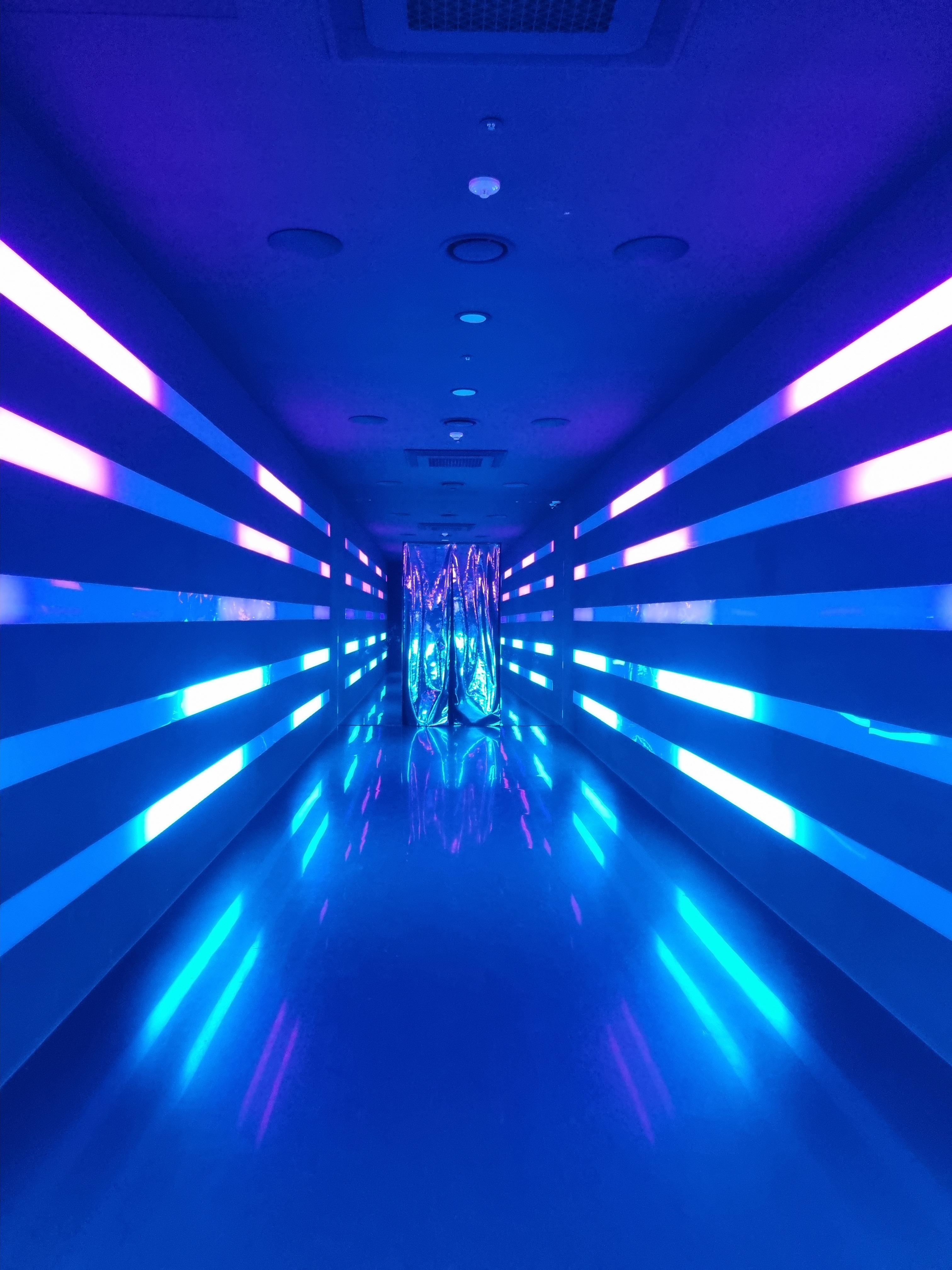 뮤지엄 딥다이브