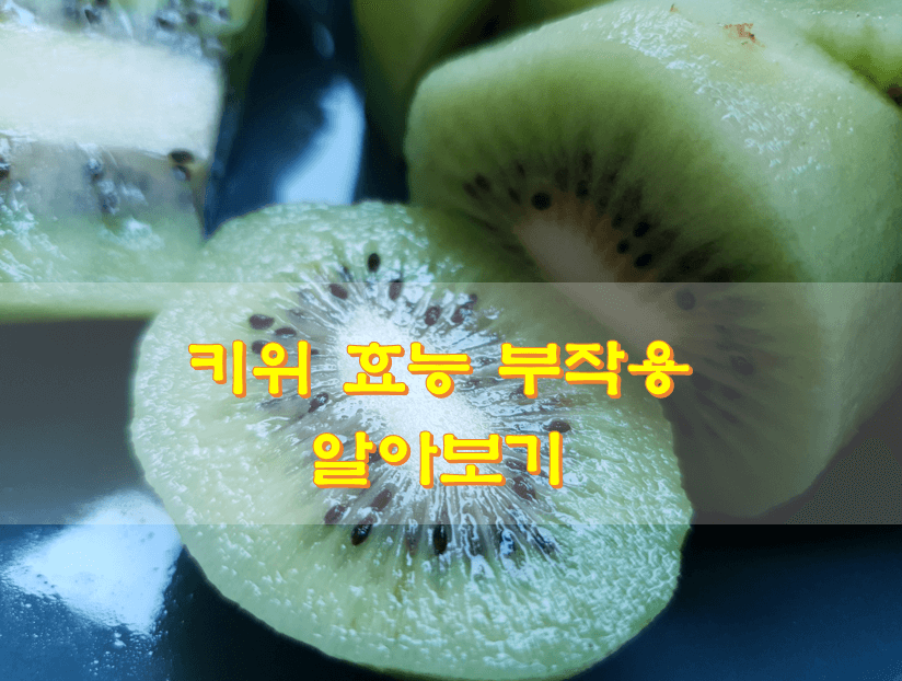 그린키위-접시-사진