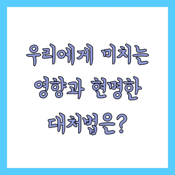 개인의 대응 전략