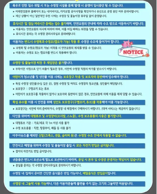 6월 20일 개장! 한강 야외수영장 이용 꿀팁🍯 총정리