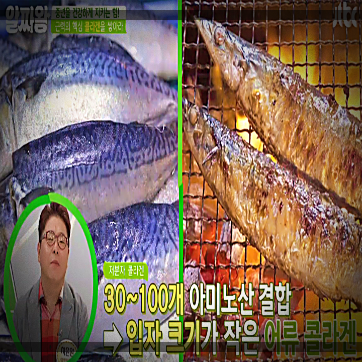 알짜왕-어류-저분자-콜라겐