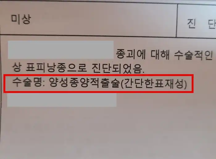 수술명