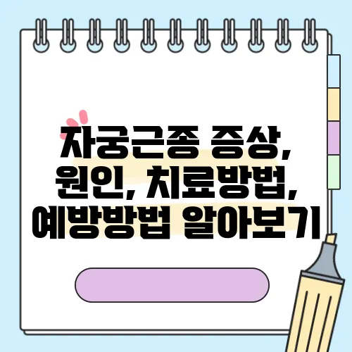 자궁근종 증상, 원인, 치료방법, 예방방법 알아보기
