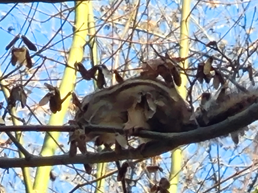경기도 광주 곤지암 화담숲 단풍시즌&amp;#44; 가을 풍경 퍼레이드와 주변 맛집
