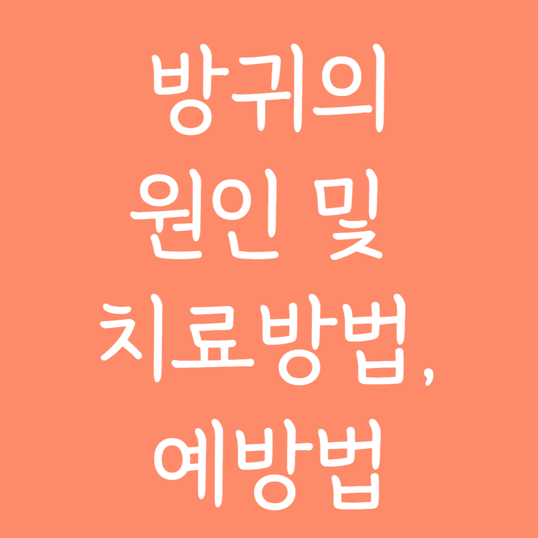 방귀가 많이 나오는 이유와 치료법, 예방법