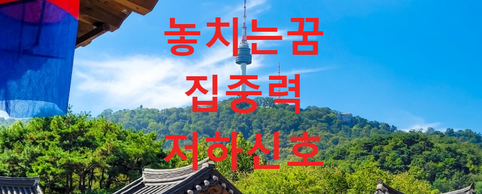 꿈과건강