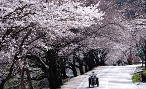 대한민국 부&middot;울&middot;경(부산&middot;울산&middot;경남) 지역별 나들이 톱5