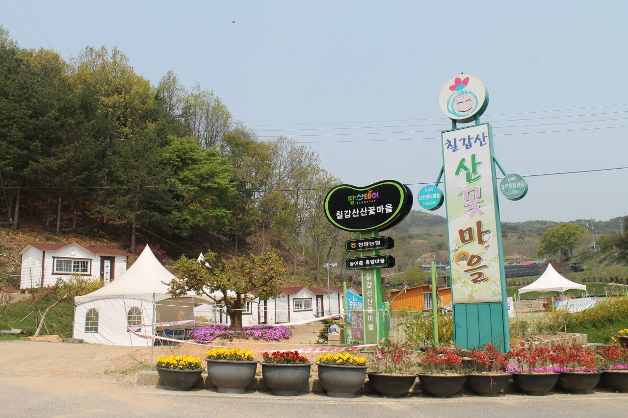 칠갑산산꽃마을