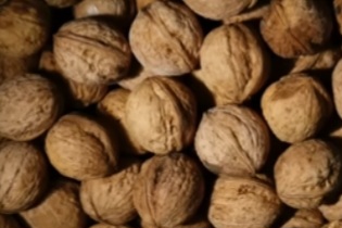 호두의 영양성분과 효능, 함께 섭취하면 좋은 과일, 호두기름 및 요리 활용법