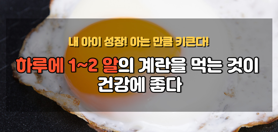 계란흰자