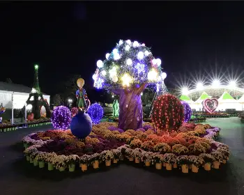 익산 천만송이 국화축제_12