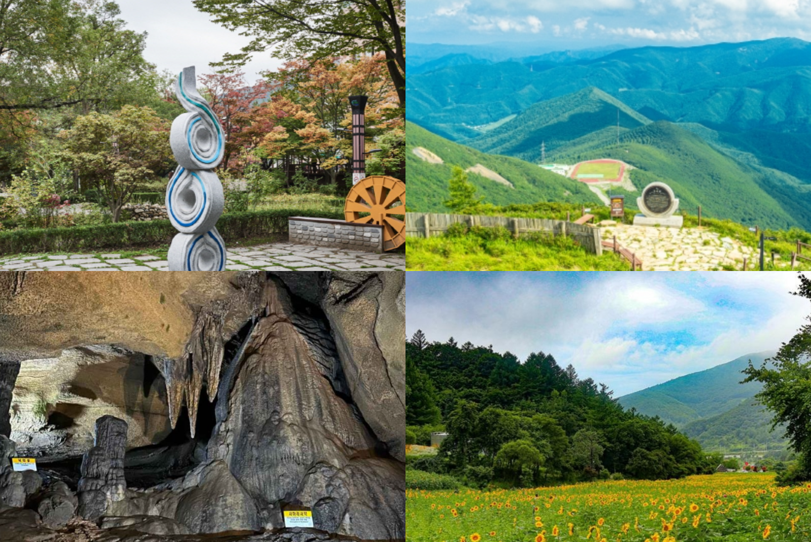 태백 가볼만한곳