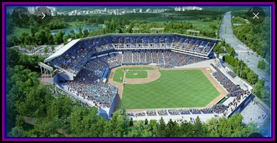 뜨거운 열기가 가득한 대구 스포츠, 인구 대비 관중이 넘치는 이유