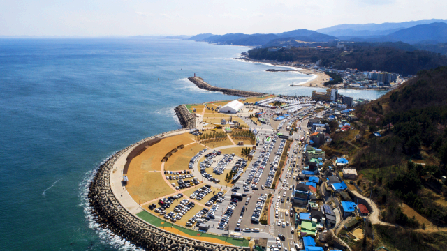 영덕대게축제