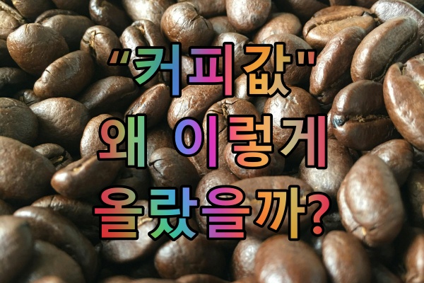 한국 커피 시장의 현황