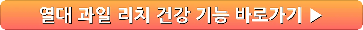 열대 과일 리치 건강 기능_11