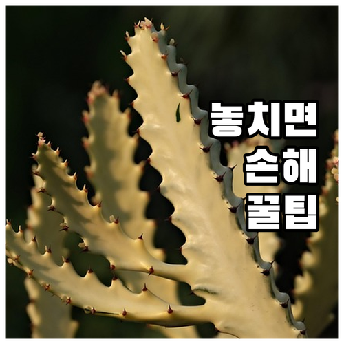 자동차 검사 예약 변경, 수수료 없이..