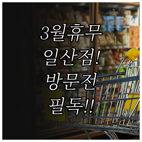 2026년 3월 일산 트레이더스 방문..