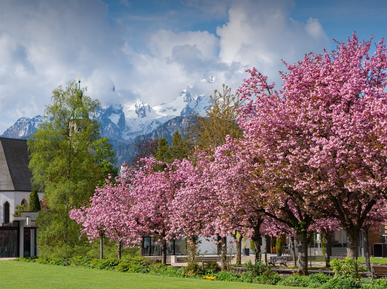 벚꽃과 함께 가기 좋은 여행지