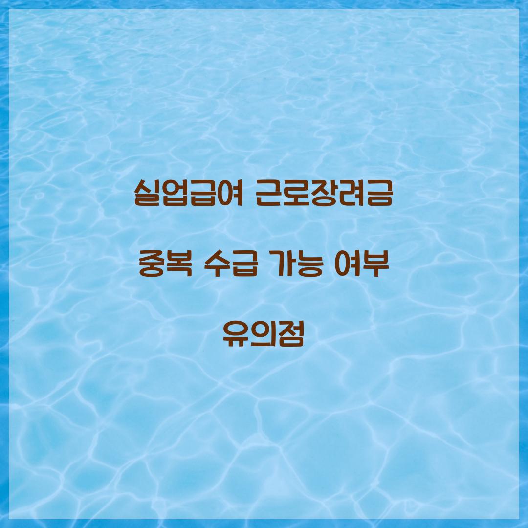 실업급여 근로장려금 중복 수급