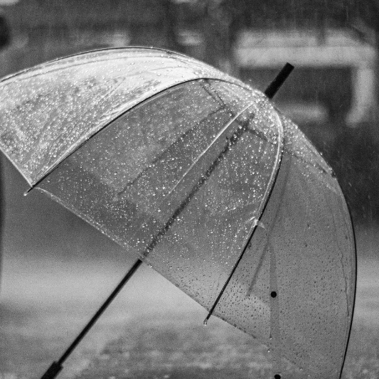 우산 오래 쓰는 법, 알고 계신가요? - 보관 방법, 수명 연장, 방수 처리