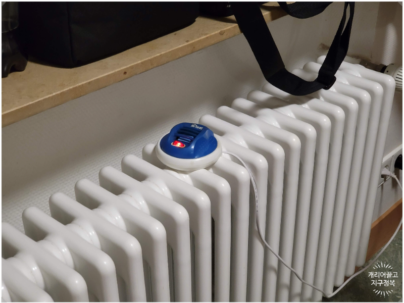 유럽 여행 모기향 준비물