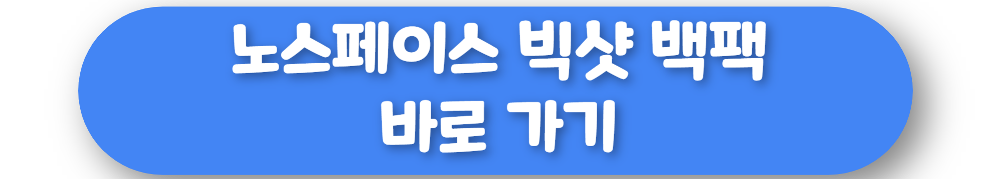 노스페이스 빅샷 백팩