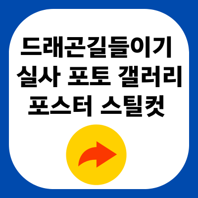 드래곤 길들이기 실사 포토 갤러리 포스터 스틸컷 2025